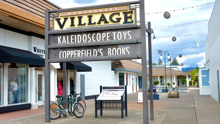 The Diverging Fates of Santa Rosa's Three Major Shopping Centers: Who Will Prevail in the Retail Winter?